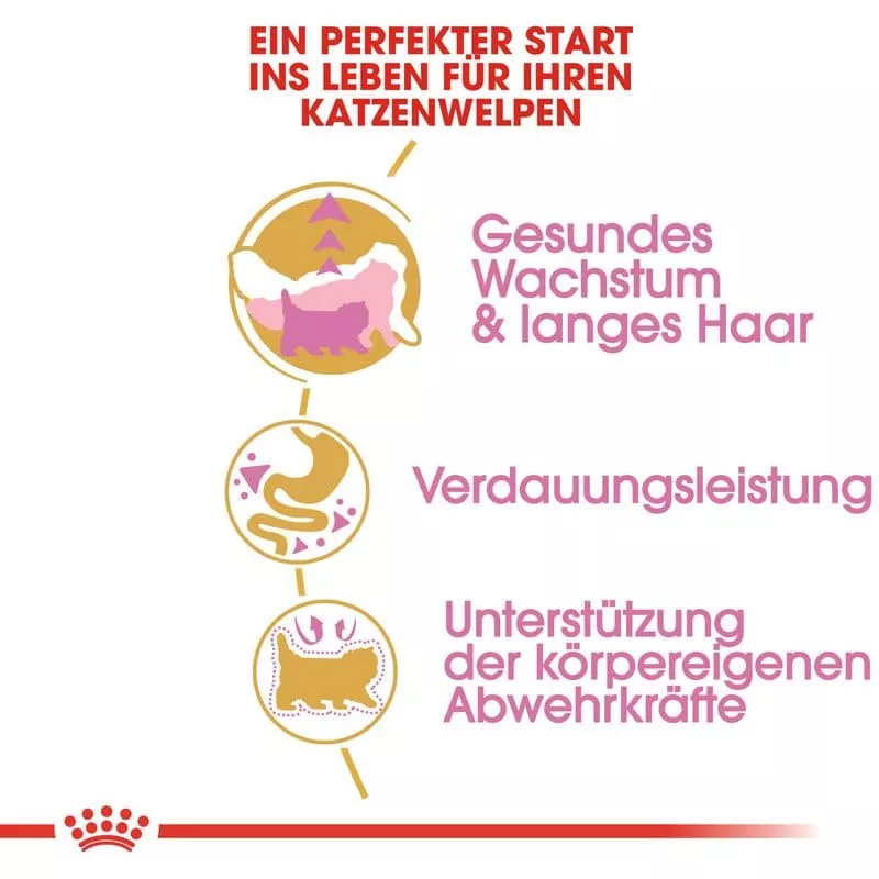 FBN Kitten Persian 400g